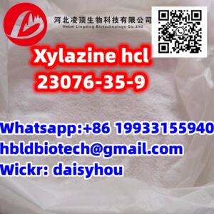 Xylazine Hydrochloride Powder Xylazine HCl CAS 23076-35-9 with Safe Delivery Xylazine
