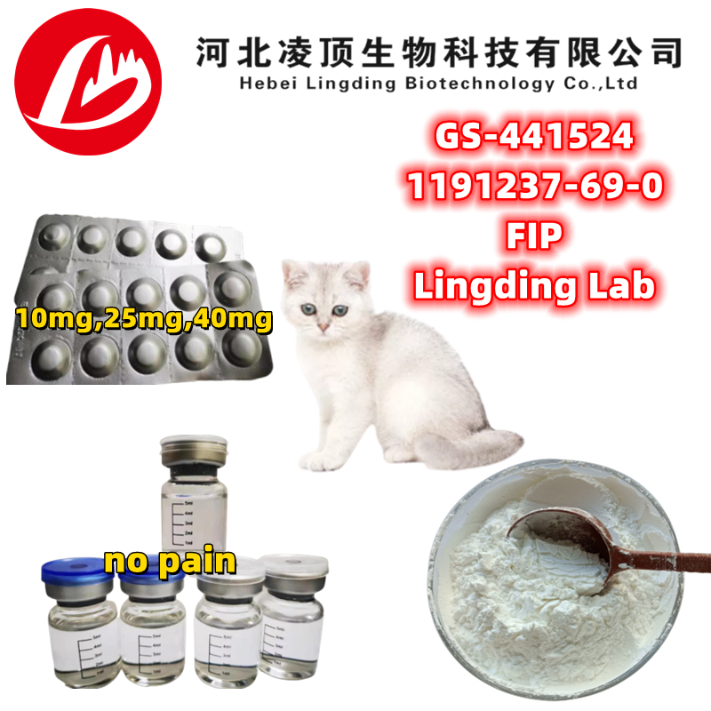 GS-441524 1191237-69-0 FIP for cats