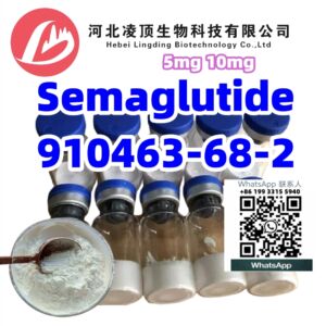 Semaglutide CAS 910463-68-2 5mg 10mg vials Weight Loss Peptides