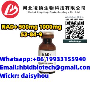 NAD+ 500mg 1000mg 53-84-9 Nicotinamide adenine dinucleotide for AntiAge