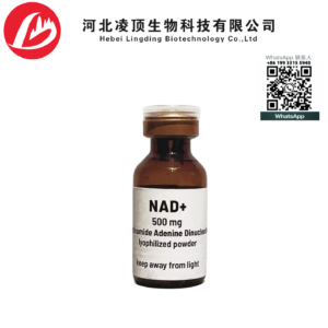 NAD+ 500mg 1000mg 53-84-9 Nicotinamide adenine dinucleotide for AntiAge